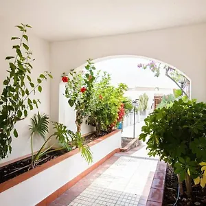 https://1-bedroom-apartment-for-4-people-in-tenerife.in-canary-islands.com